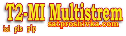 T2-MI-Multistream